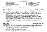 Sample Of A Professional Accountant Resume Accounting, Auditing, & Bookkeeping Resume Samples Professional …