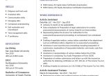 Sample Of A Professional Accountant Resume Chartered Accountant Cv Example 2022 Writing Tips – Resumekraft