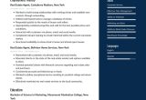 Sample Resume for Real Estate Marketing Executive Real Estate Resume Examples & Writing Tips 2022 (free Guide)