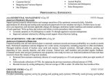 Sample Resume for Real Estate Marketing Executive Real Estate Property Management Resume Sample Professional …