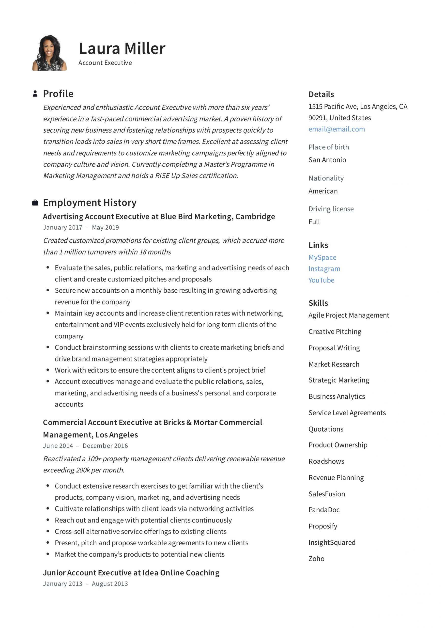 Make Your Pitch In Resume Sample Account Executive Resume & Writing Guide  12 Templates Pdf ’20