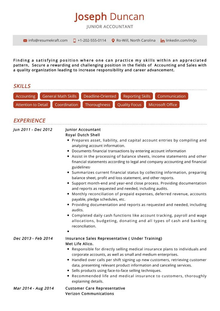 Sample Resumes for Accountants and Financial Professionals 100 Professional Resume Samples for 2020