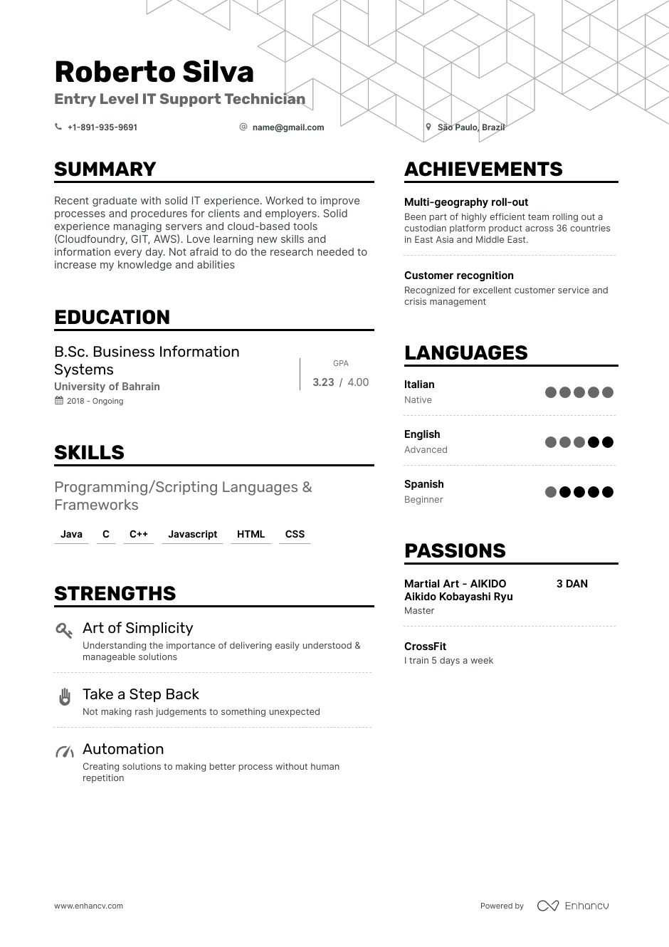 Entry Level It Resume Examples and Samples Entry Level It Resume Samples