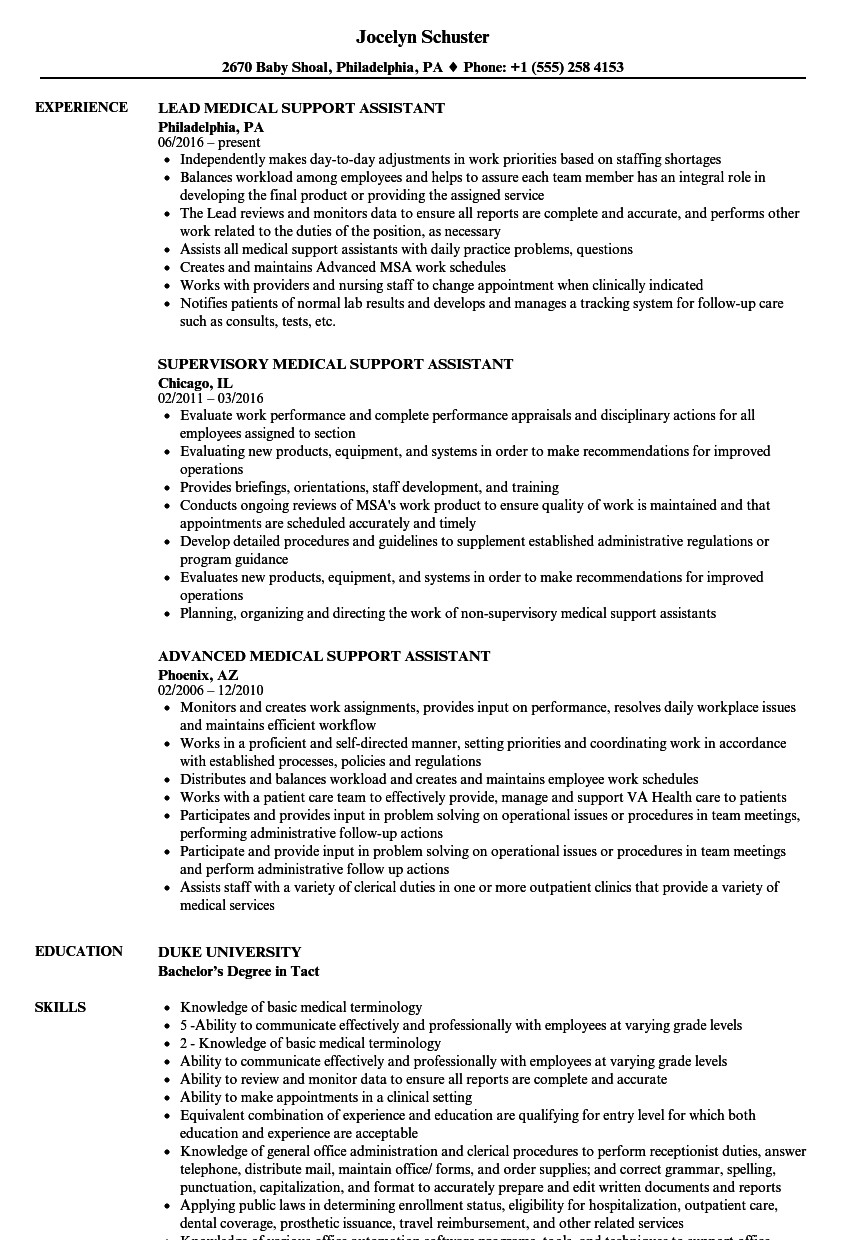 sample federal resume program support assistant