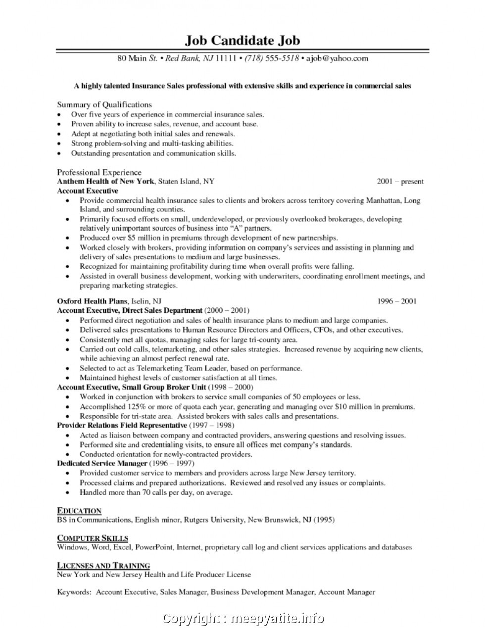 Sample Resume for Life Insurance Sales Manager Professional Sales Manager Insurance Resume 15 Insurance