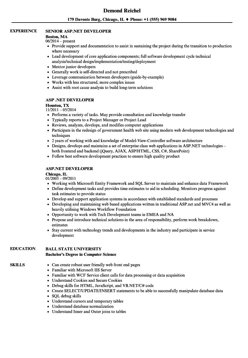 Sample Resume for Sql Developer Experienced Basic Sql Knowledge Resume