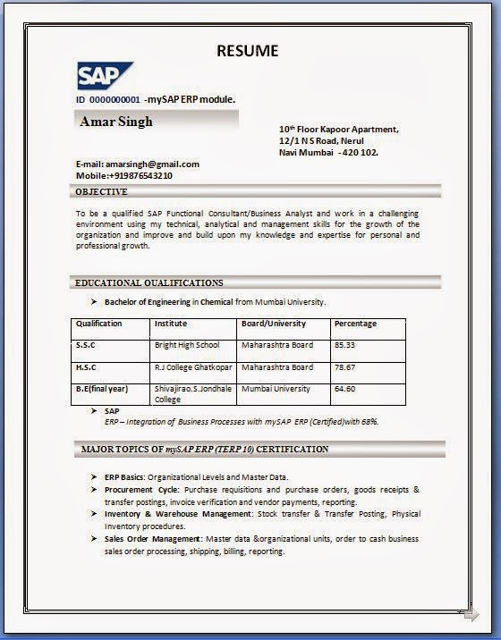Sap Basis Sample Resume for 3 Years Experience Resume format 3 Years Experience Resume Templates