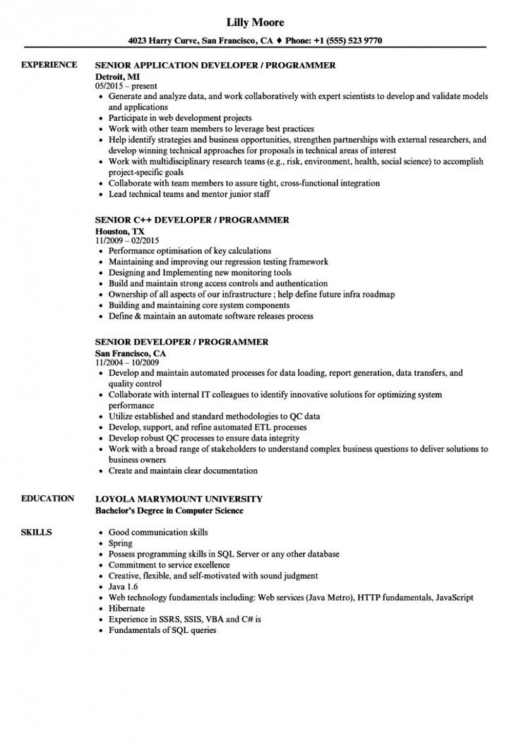 Vba Developer Macros Excel Sample Resume 11 Vba Developer Pattern Resume In 2020