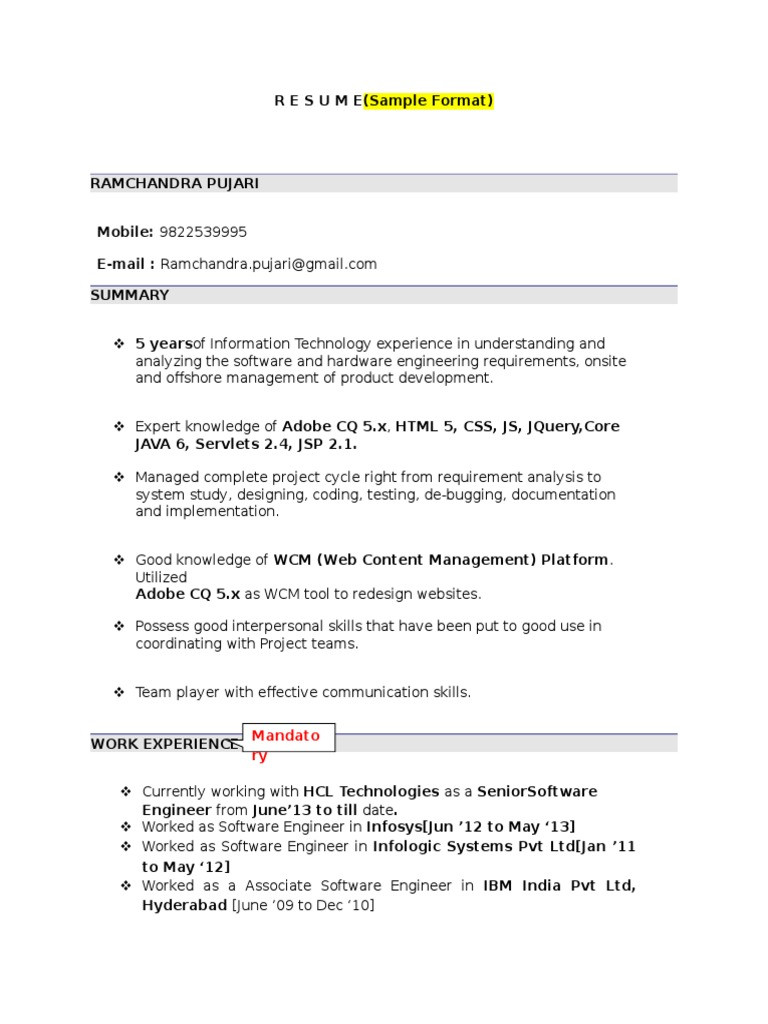 Websphere Application Server Experience Sample Resumes Doc format Sample Resume format Java Server Pages Websites