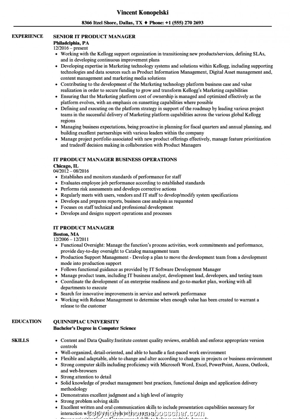 Sample Resume for Telecom Operations Manager Best Tele General Manager Resume It Product Managerume