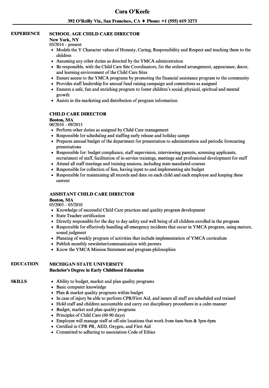 Assistant Director Child Care Resume Sample Child Care Director Resume Examples February 2021
