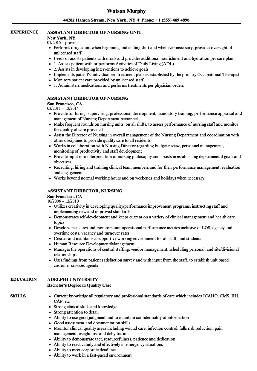 Assistant Director Of Nursing Resume Sample assistant Director Nursing Resume Samples