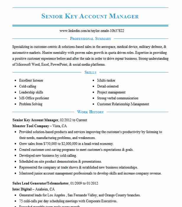 Senior Key Account Manager Resume Sample Sales Key Account Manager Resume Example Airtel Nigeria