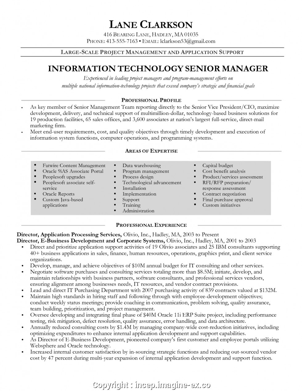 Senior Technical Program Manager Resume Sample New Senior Technical Project Manager Resume Senior Project