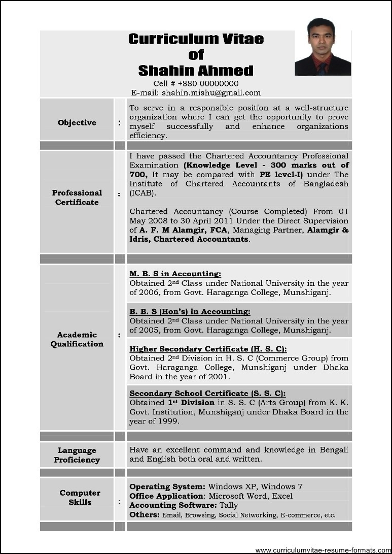 Best Sample Resume for It Professional 25 Fresh Best Resume Samples for It Professionals Best