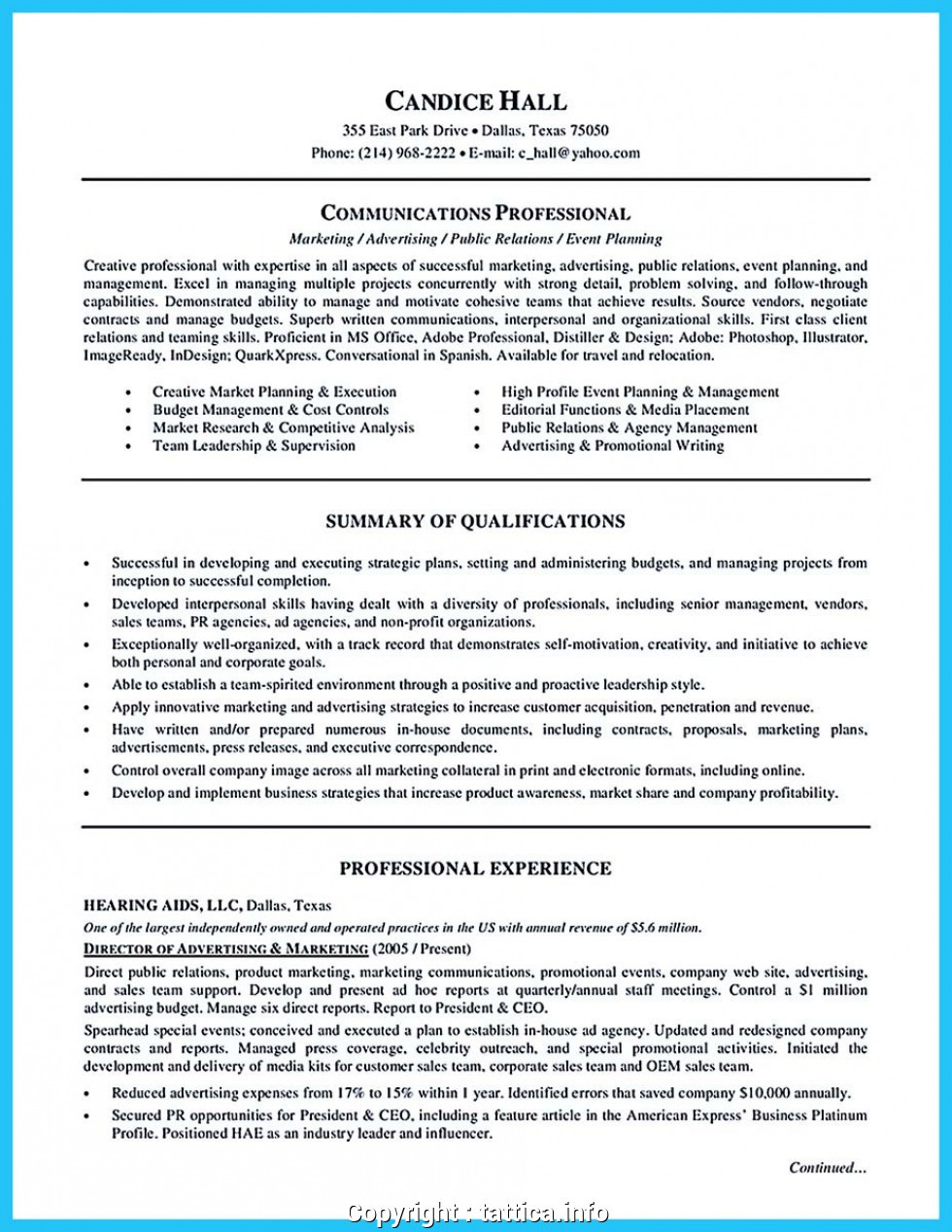 Best Sample Resume for It Professional Best It Director Professional Resume athletic Director