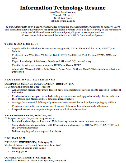 Best Sample Resume for It Professional It Professional Resume Samples top form Templates