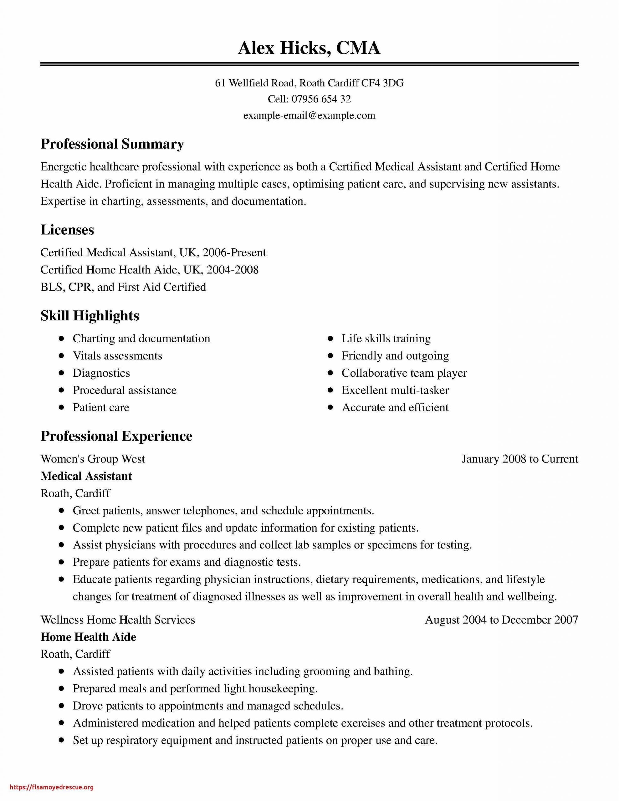 Home Health Care Provider Resume Sample 78 Elegant Collection Of Resume Summary Examples for Payroll …