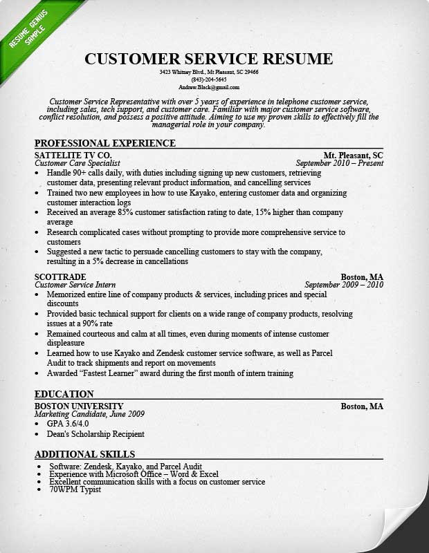 Professional Summary Resume Sample for Customer Service Resume Samples Customer Service Jobs
