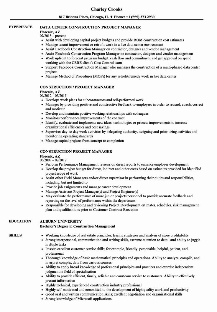 Building Material Sales Executive Resume Sample Construction Project Manager Resume Examples Unique