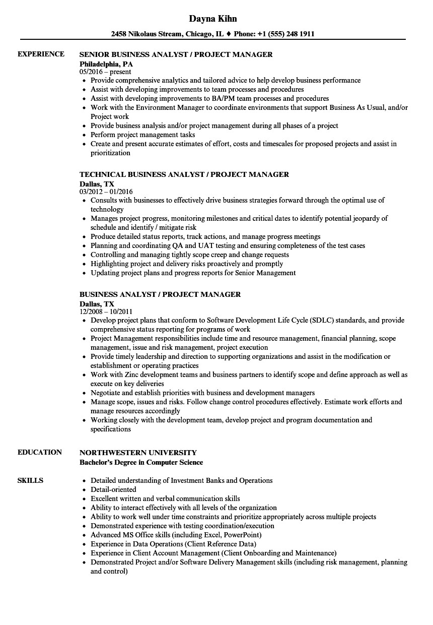 Business Analyst Project Manager Resume Sample Business Analyst Project Manager Resume Samples