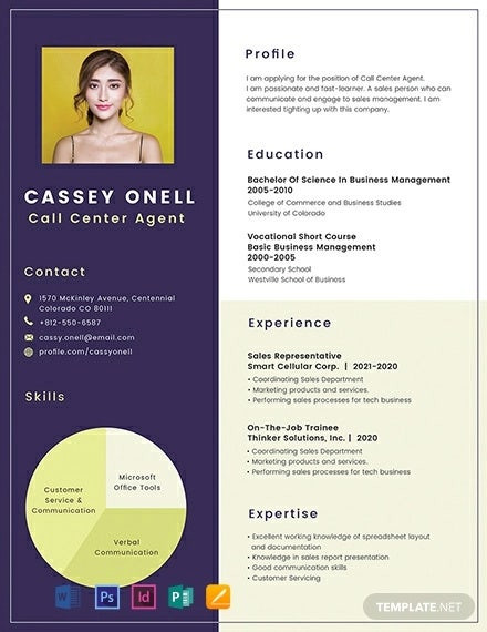 Call Center Resume Sample No Experience Call Center Resume Example 11 Free Word Pdf Documents