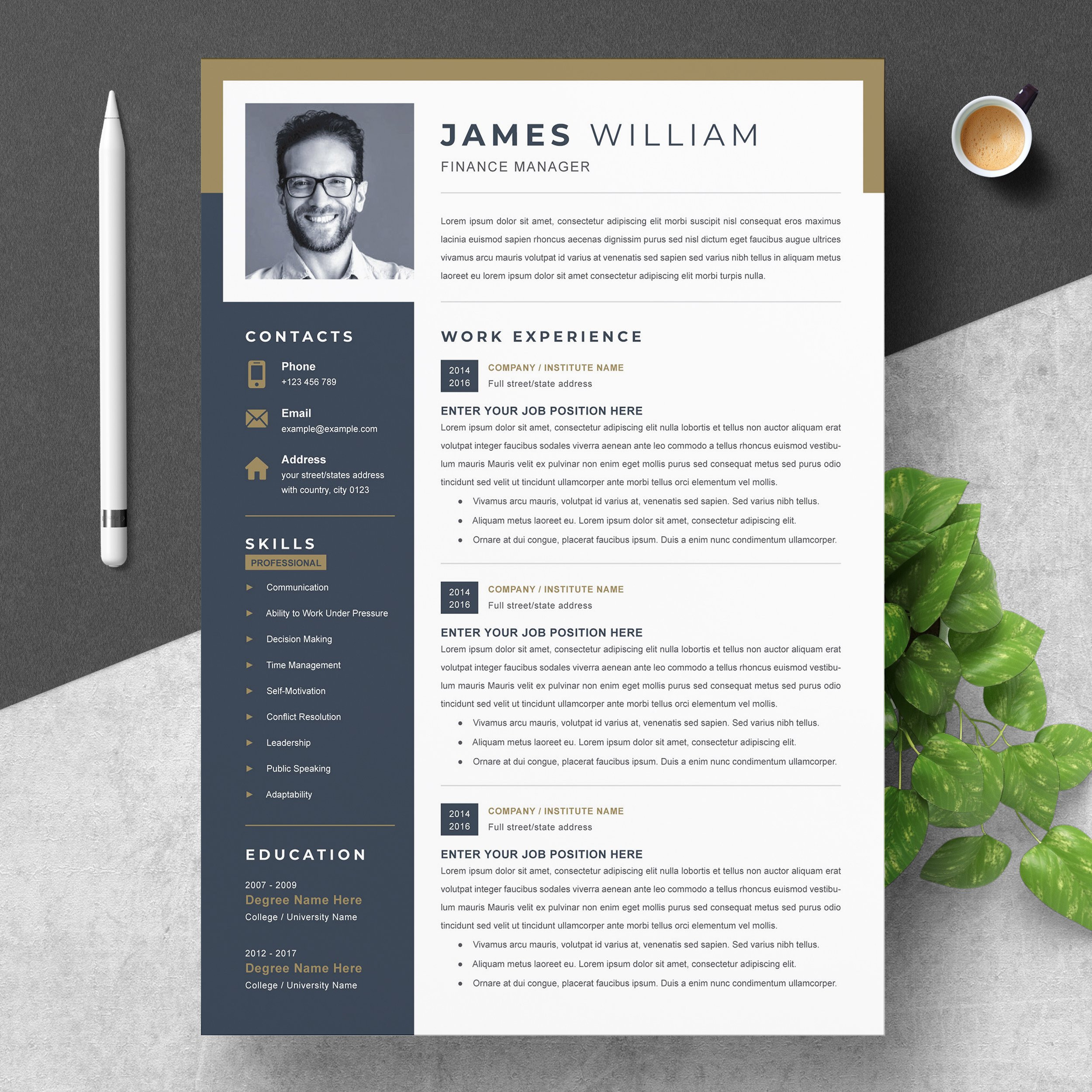 Eye Catching Resume Templates Free Download Professional Word Resume Template Creative Illustrator Templates …