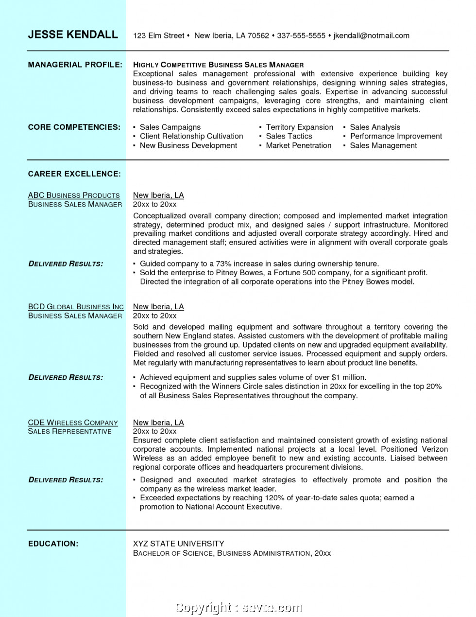 Free Resume Samples for Sales and Marketing Free Resume format for Sales and Marketing Manager Sample