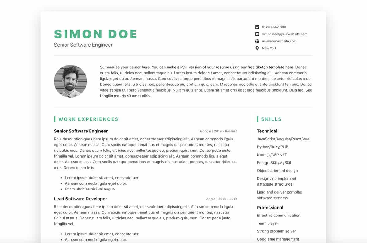 Free Resume Templates for software Engineer top 3 Free software Developer Resume/cv Templates (html5 Printable)