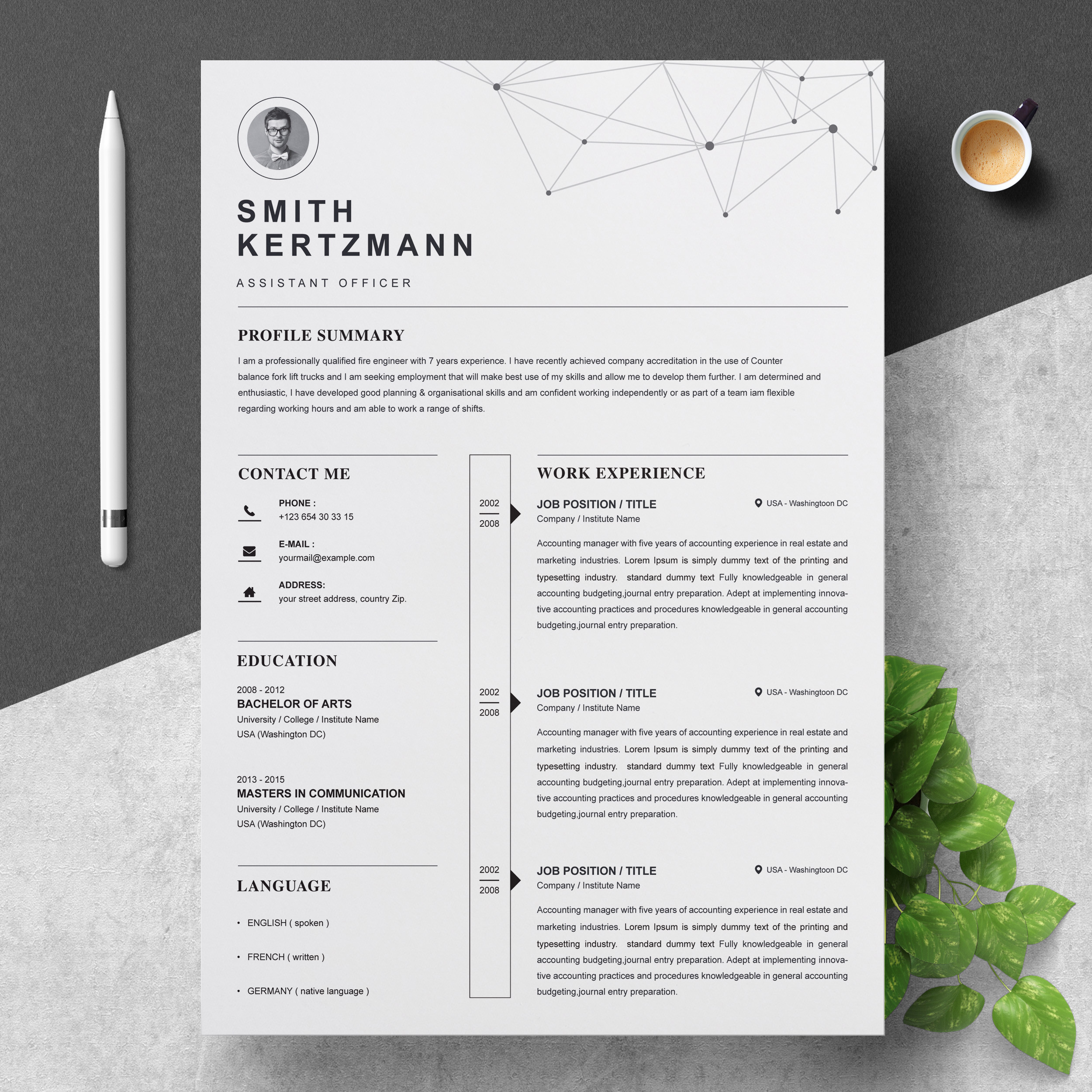 It Professional Resume Template Free Download Professional Resume Template â Free Resumes, Templates Pixelify.net