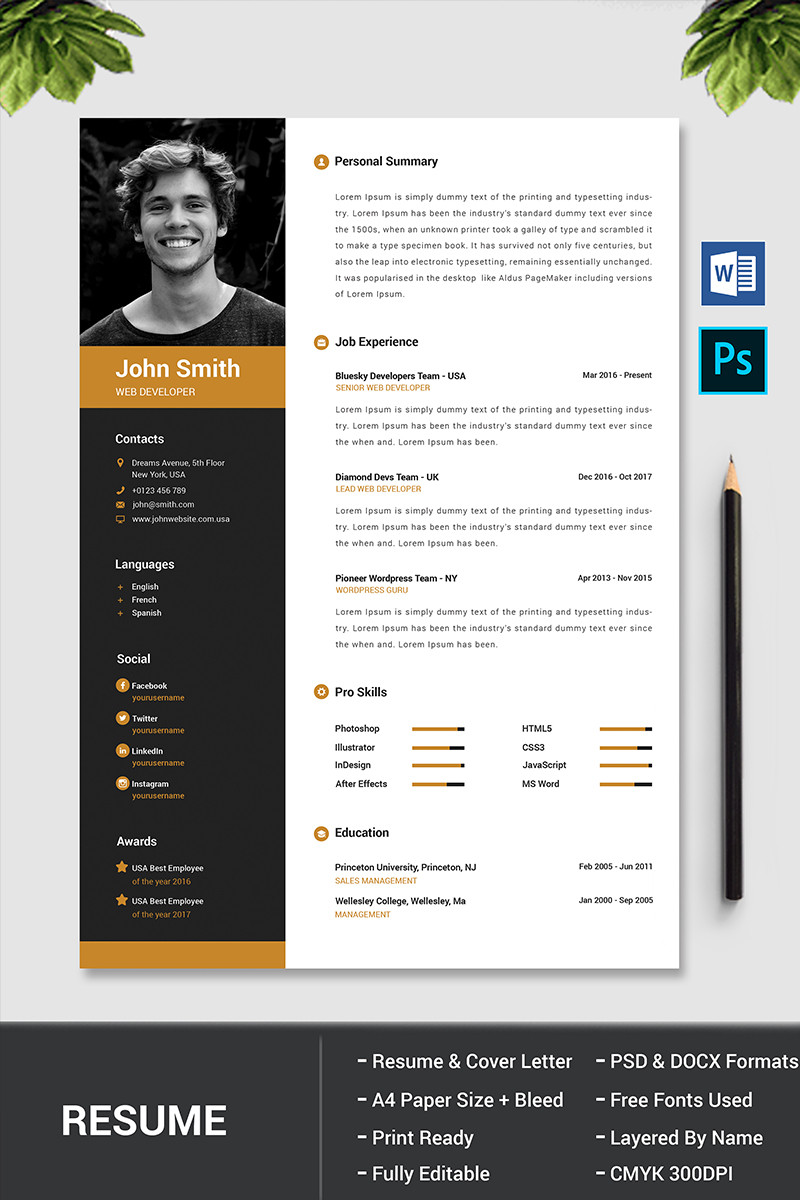 John Smith Resume Template Free Download John Smith Resume Template