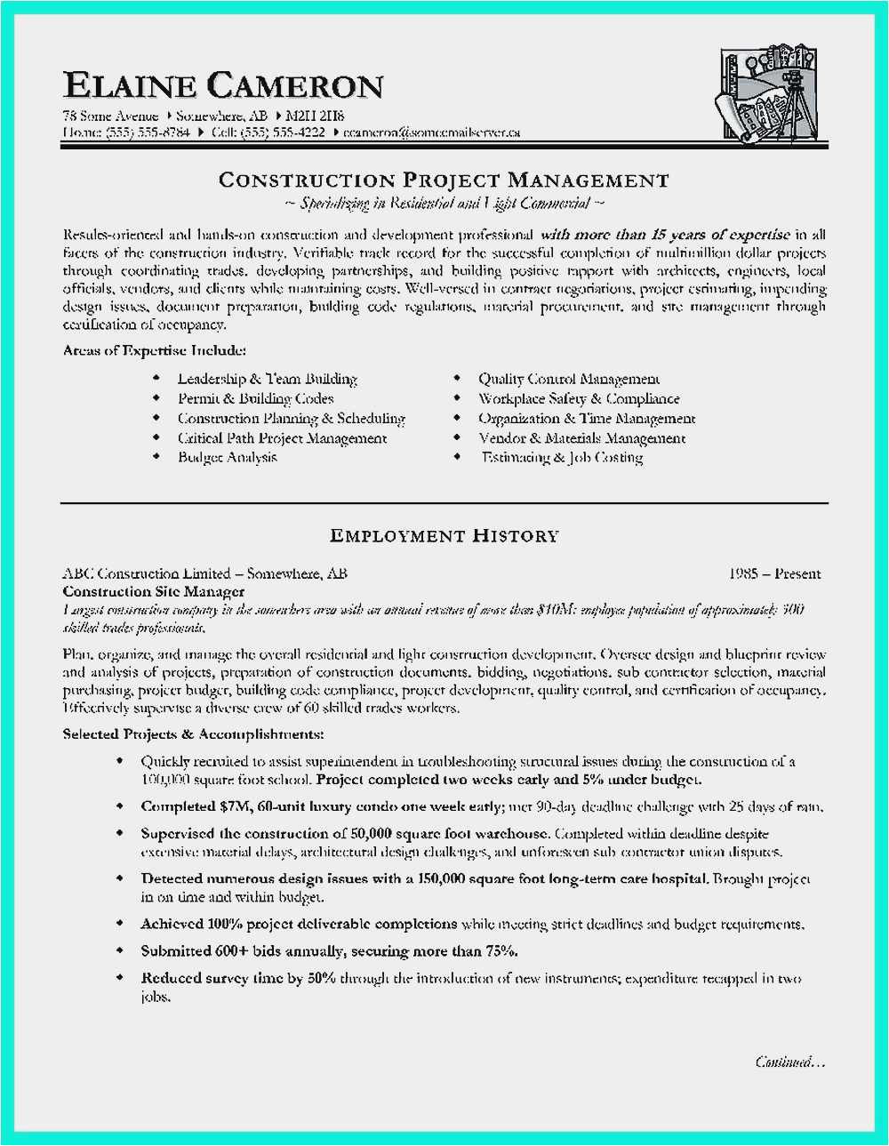Project Manager Resume Sample Free Download Project Manager Resumes Samples 54 Examples
