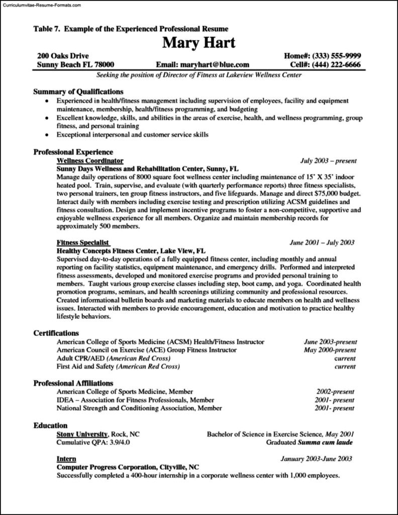 Sample Resume format for Experienced Professionals Resume Template for Experienced Professional