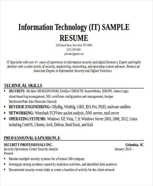 Sample Resume format for It Professional 24 It Resume Templates Pdf Doc