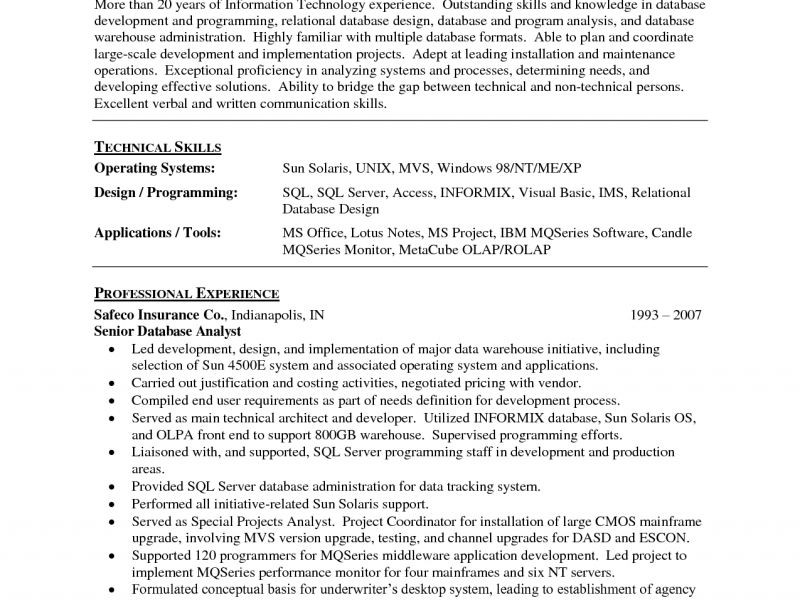 Sql Server Dba Resume Sample Doc Sql Server Dba Resume