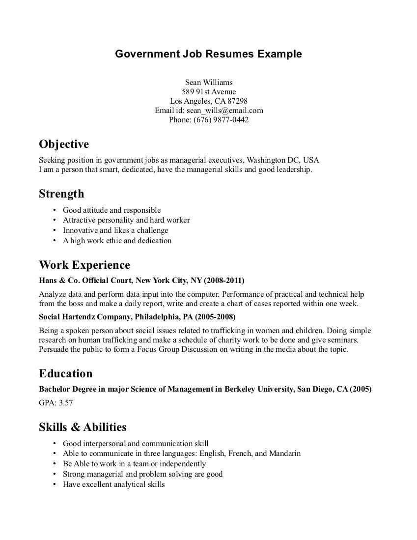 Free Resume Templates for Government Jobs Template for Professional Resume
