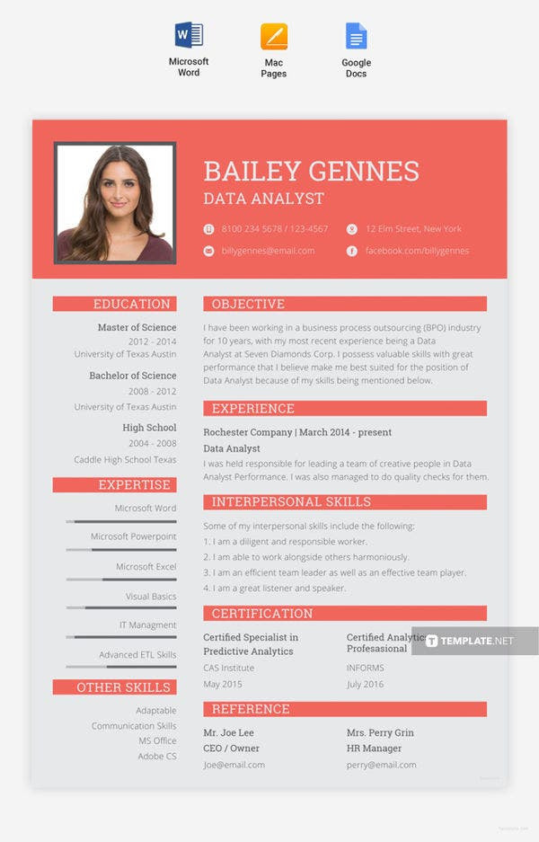 Free Sample Resume for Data Entry 5 Data Entry Resume Templates Pdf Doc