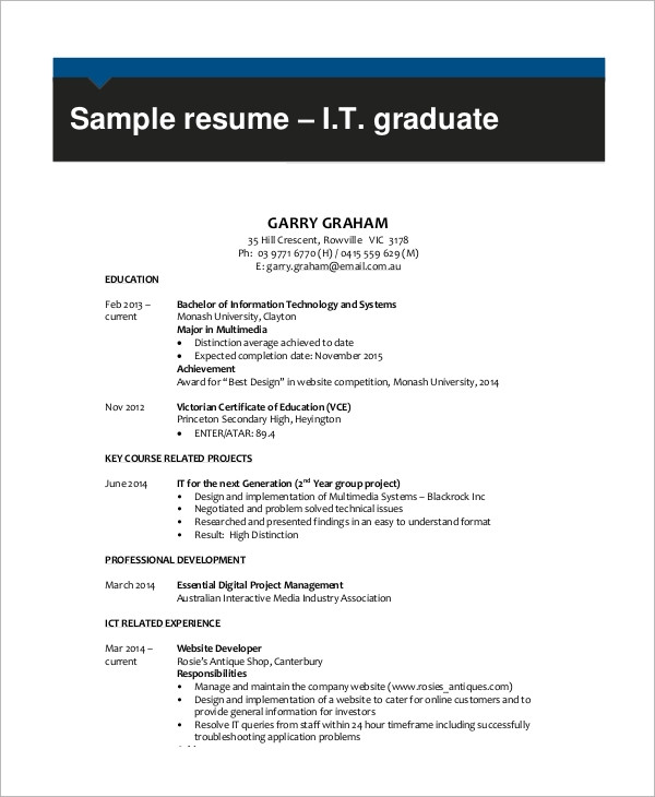 Free Sample Resume for It Professional Free 12 Sample It Resumse In Pdf