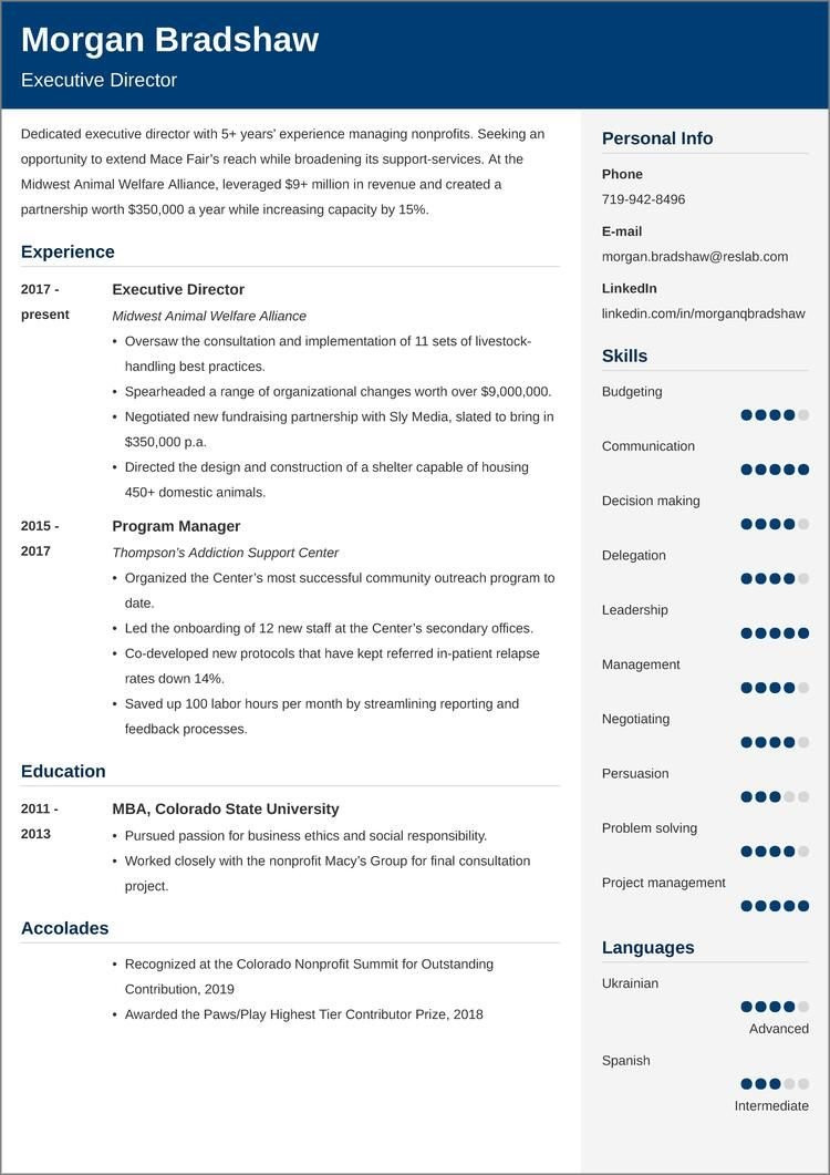 Resume Sample for Development Sector Ngo Nonprofit Resumeâexamples and 25lancarrezekiq Writing Tips