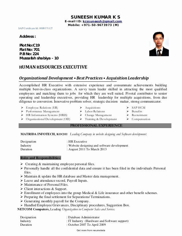 Sample Functional Resume for Human Resource Manager Human Resources Director Resume Awesome Functional