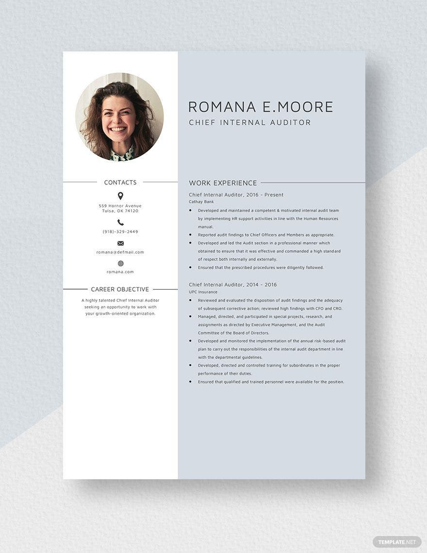 Counseling Psychology Insurance Auditor Resume Sample Internal Resume Templates – Design, Free, Download Template.net