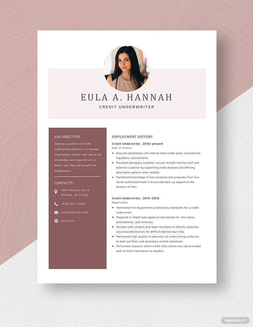 Counseling Psychology Insurance Auditor Resume Sample Underwriter Resume Templates – Design, Free, Download Template.net