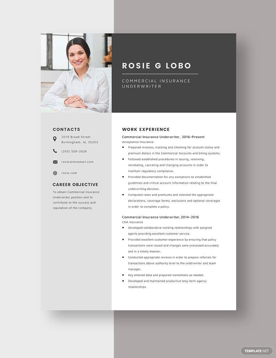 Counseling Psychology Insurance Auditor Resume Sample Underwriter Resume Templates – Design, Free, Download Template.net