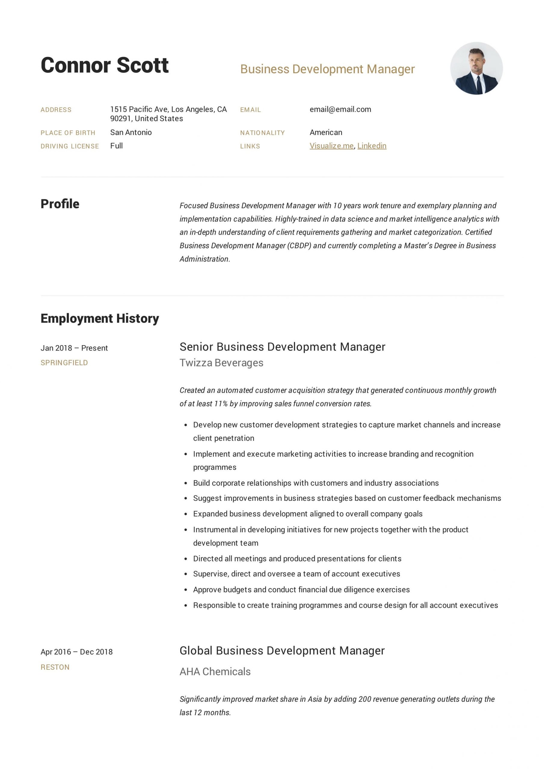 Director Of Business Development Resume Templates 12 Business Development Manager Resume Examples Ideas Manager …