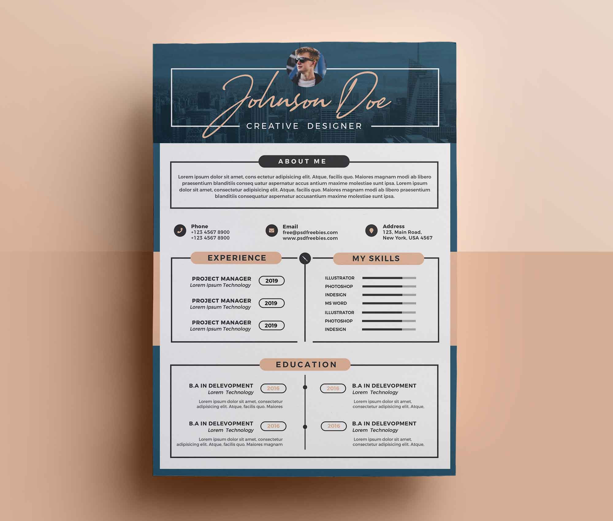 Free Resume Templates for It Professionals Free Professional Resume Template (psd)
