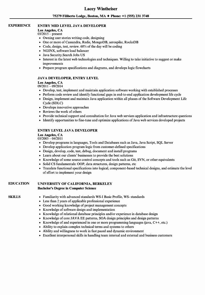 Java 2 Years Experience Resume Samples Sample Resume for Dot Net Developer Experience 2 Years – Good …