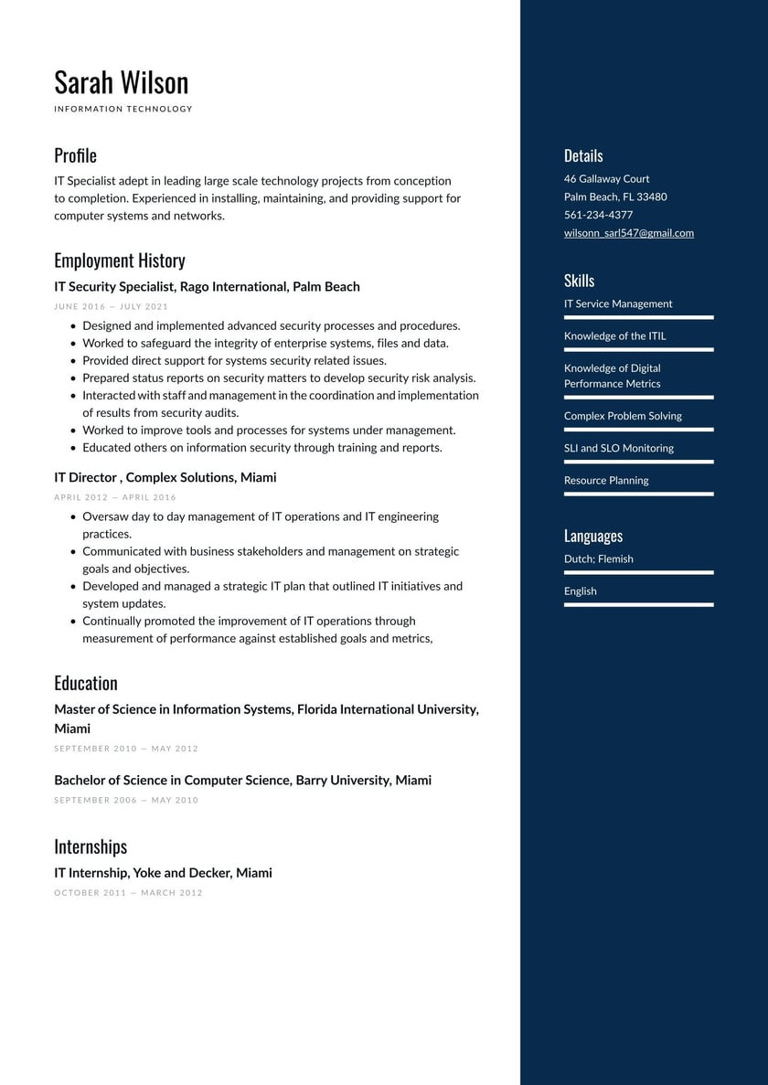 Functional Resume Sample for Information Technology Information Technology Resume Examples & Writing Tips 2022 (free