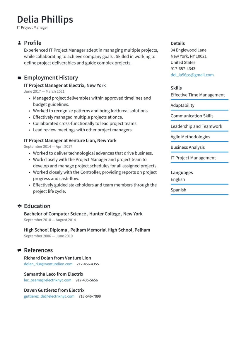 Functional Resume Sample for Project Manager It Project Manager Resume Examples & Writing Tips 2022 (free Guide)