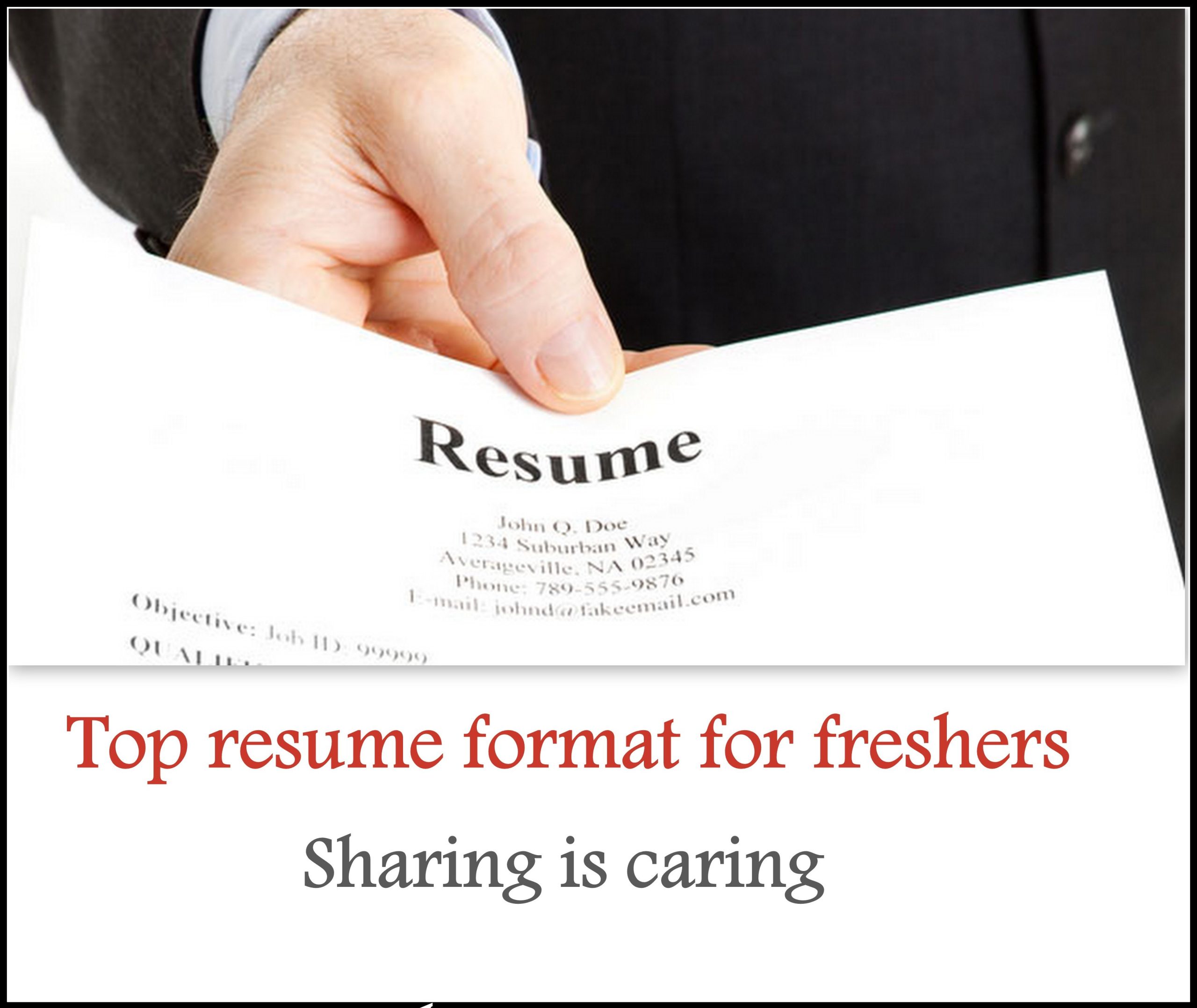 top 5 resume format for freshers free