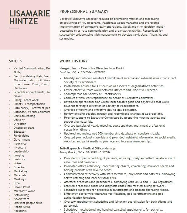 Non Profit Board Of Directors Resume Sample Non Profit Board Member Resume Example Play & Learn